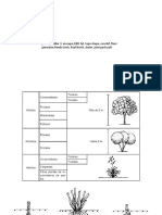 tipos de arboles