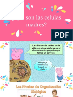 QUE SON LAS CÉLULAS MADRES NIÑOS (1)