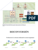 Bioconversión