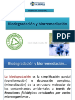Biodegradación y Bioremediación