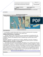 LECTURA CRITICA.pdf