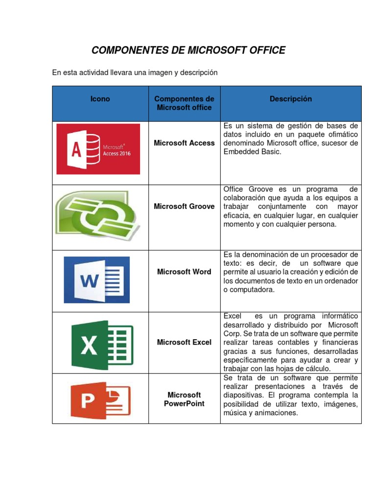 Componentes de Microsoft Office | PDF | Microsoft | Microsoft Office