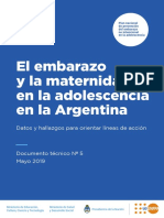 Plan ENIA Documento Tecnico Nro 5 (1).pdf