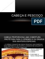 Semiologia_-_Cabeca_e_Pescoco (1).docx