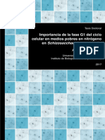 IBFG_RubioTenor_ImportanciaFase.pdf