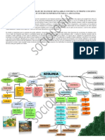 Concepto de Ecologia