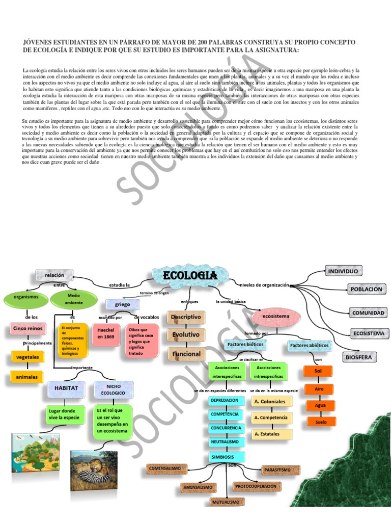 Concepto de Ecologia | PDF | Entorno natural | Ecología