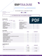 Candidature Esg Toulouse PDF