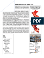 Pandemia de Enfermedad Por Coronavirus de 2020 en Perú