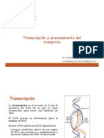 Transcripcion - FARM601 - 20200319