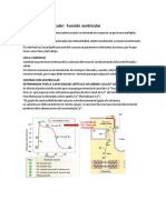 Sistema Cardiovascular 2