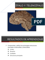 Clase 35 Diencefalo y Telencefalo PDF