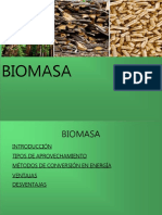 Biomasa: tipos, métodos de conversión y aplicaciones energéticas