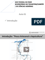 AULA 001 - Apresentação - Intro PDF