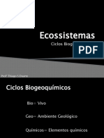 6-Ecossistemas - Ciclos Biogeoquimicos