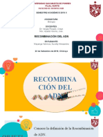 Recombinación Del Adn: Semestre Académico 2019 Ii