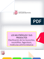 clase 4 LOS NEUTRÓFILOS Y SUS PRODUCTOS (1).pdf