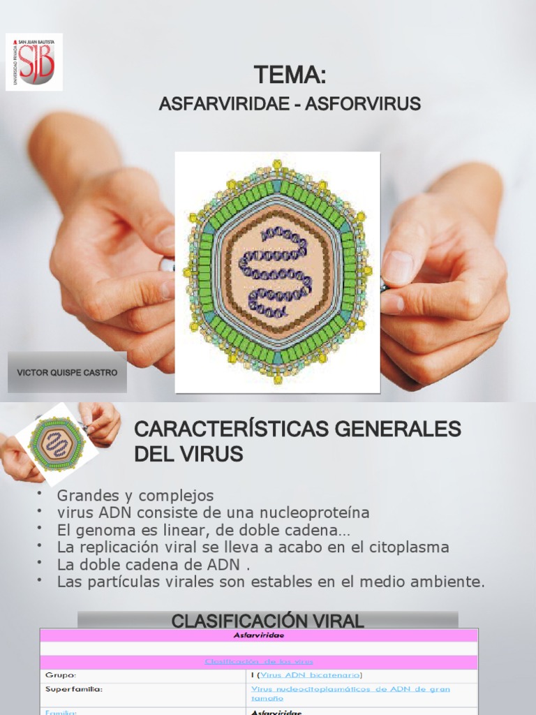 Asfarviridae. Clase PDF Enfermedades animales Virus