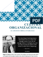 Cultura organizacional: factores clave y niveles