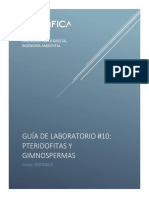 Guía laboratorio pteridofitas gimnospermas