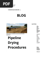 Method Statement For NITROGEN PURGING (SAMPLE) | PDF | Personal ...