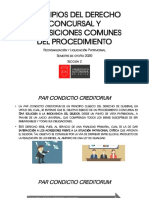 Principios Del Derecho Concursal y Disposiciones Comunes Del