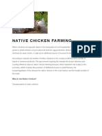 Chicken Production