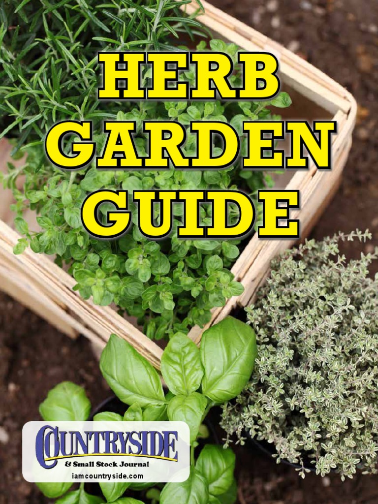 Herb Garden Guide: Erb Arden Uide | PDF | Basil | Parsley