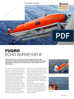 Echo Surveyor III Flyer