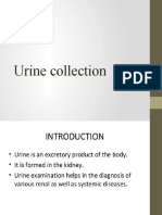 Urine Test