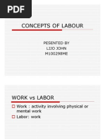 Concepts of Labour