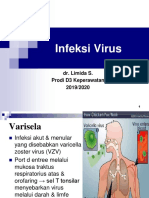 Integumen Virus
