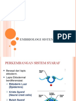 Embriologi Sistem Saraf Pusat