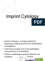 Imprint Cytology