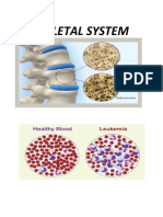 Skeletal System Osteoporosis