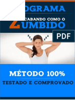 Pocket zumbido.pdf