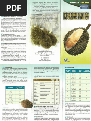 Durian Info  PDF