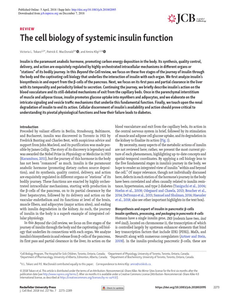 The Cell Biology of Systemic Insulin Function 2018 | PDF | Insulin ...