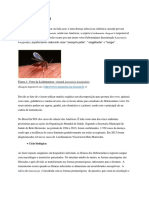 Leishmaniose-visceral.docx-para-o-site.pdf