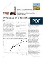 Wheat As An Alternative To Corn