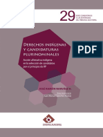 Derechos Indígenas y Candidaturas Plurinominales PDF