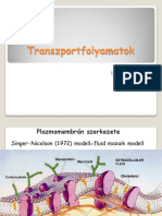 4 Transzportfolyamatok PDF