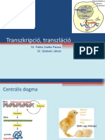 3 Transzkripció, Transzláció