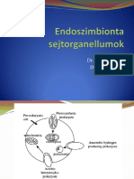 8 Endoszimbionta Sejtorganellumok PDF