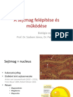 5 A sejtmag.pdf