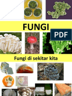 FUNGI DI SEKITAR KITA