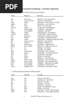 Anatomy Terminology