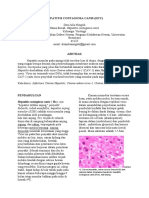 hepatitis-contagiosa-canis.docx