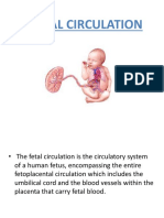 Foetalcirculationpphn 151109152112 Lva1 App6891