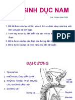 Bài 10 - Hệ Sinh Dục (Nam & Nữ)